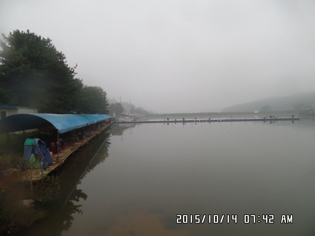 SAM_0037.JPG