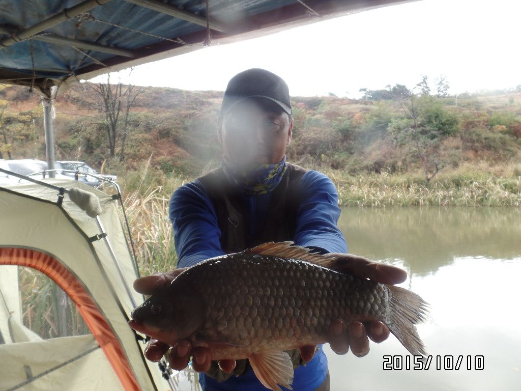 SAM_0766.JPG