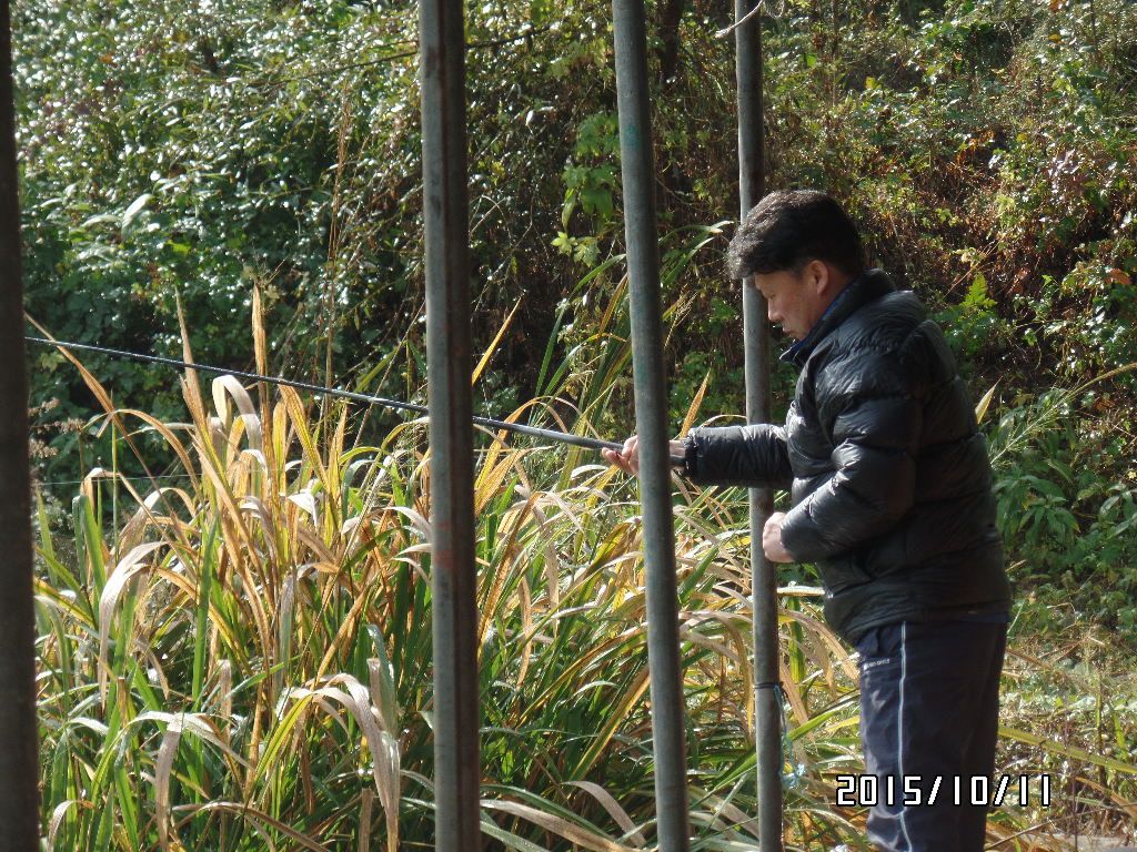 SAM_0784.JPG