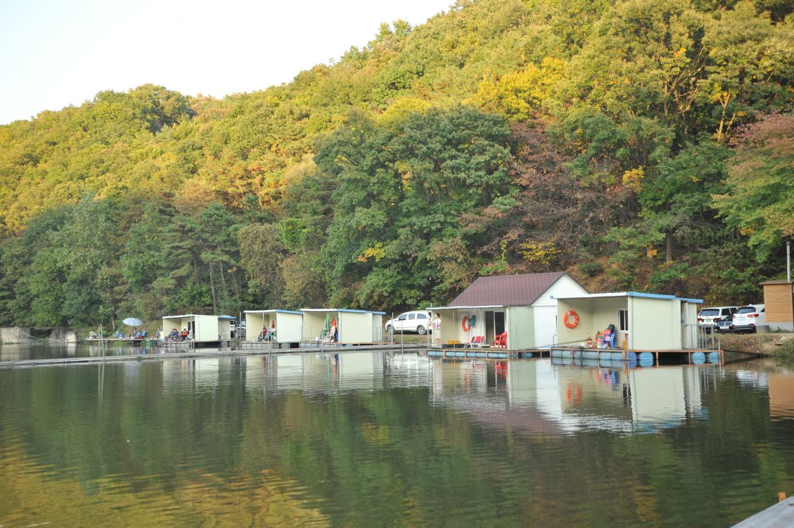 DSC_8253.JPG