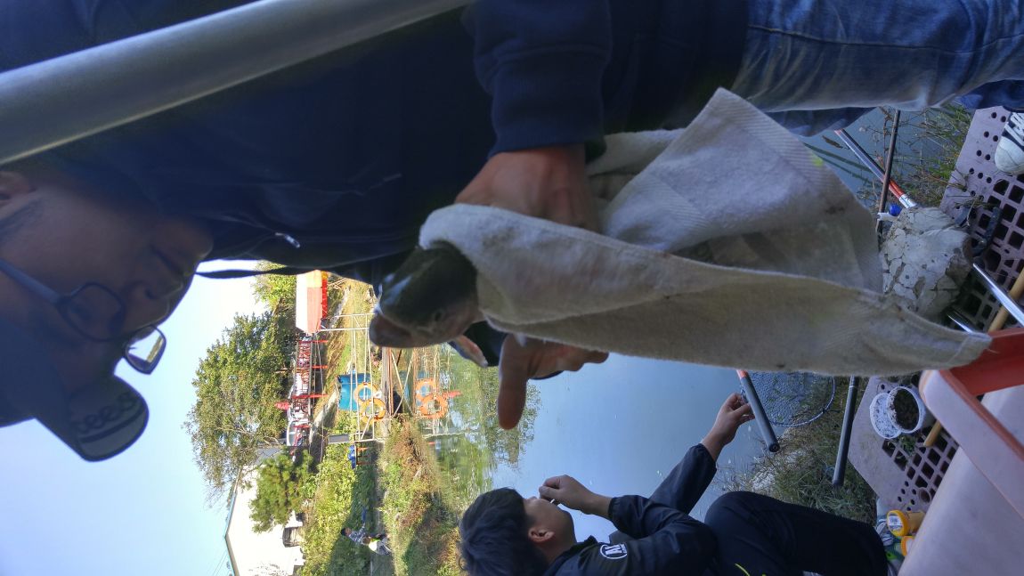 20151009_151848_HDR src