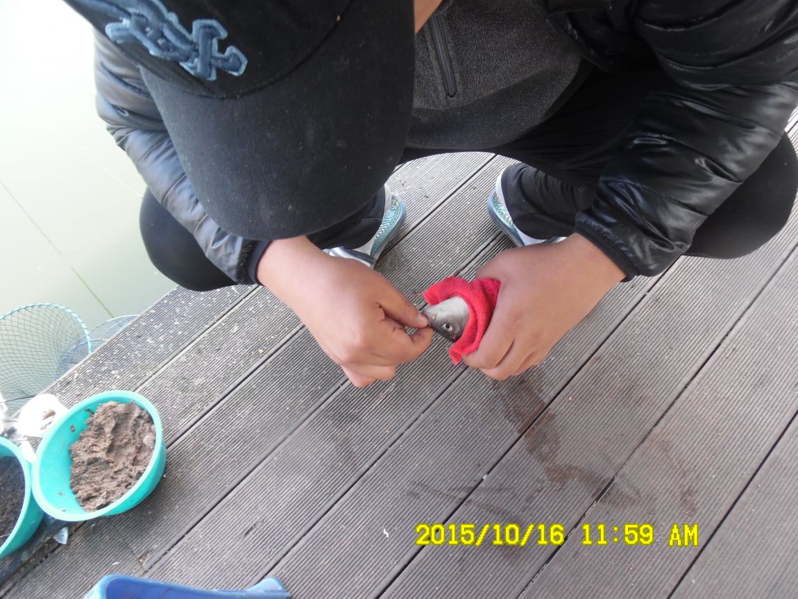 10��16��~17�� 002.JPG