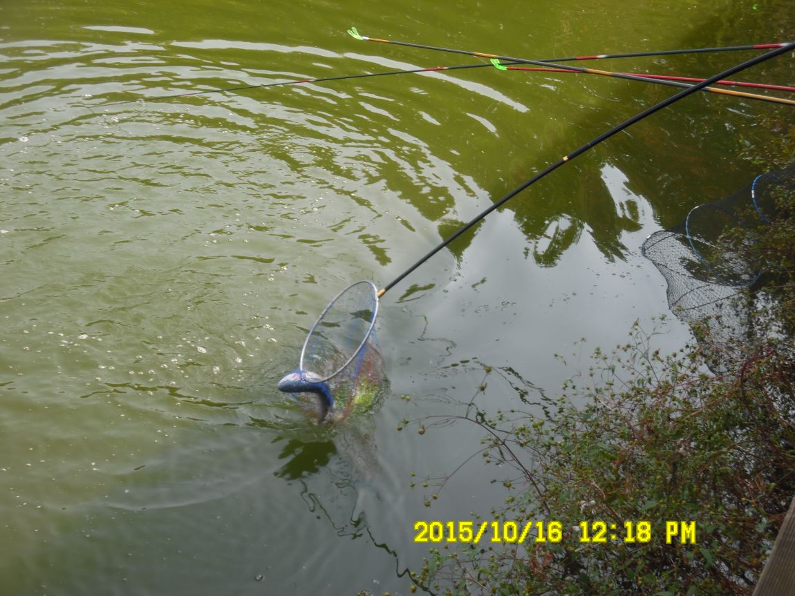 10��16��~17�� 003.JPG