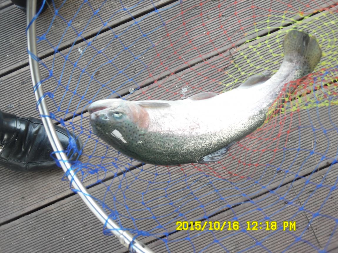 10��16��~17�� 004.JPG