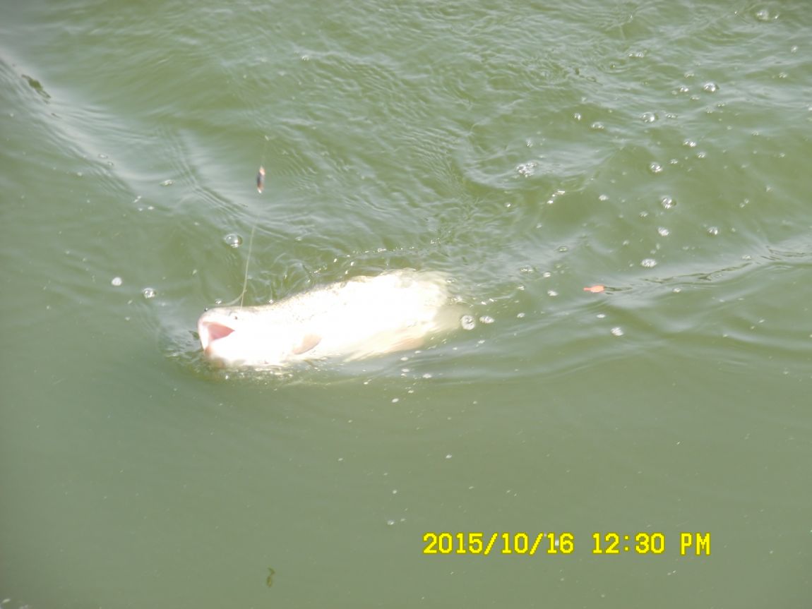 10��16��~17�� 006.JPG