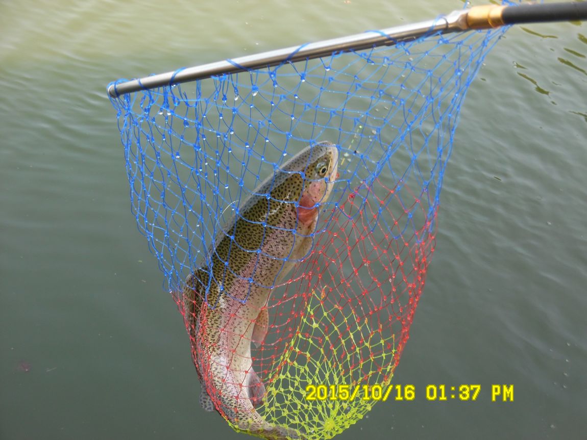 10��16��~17�� 010.JPG