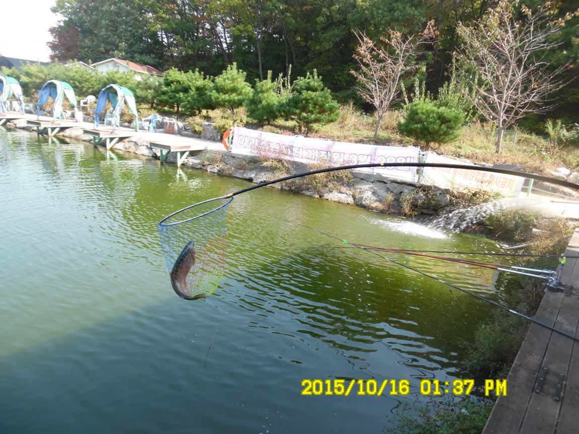 10��16��~17�� 011.JPG