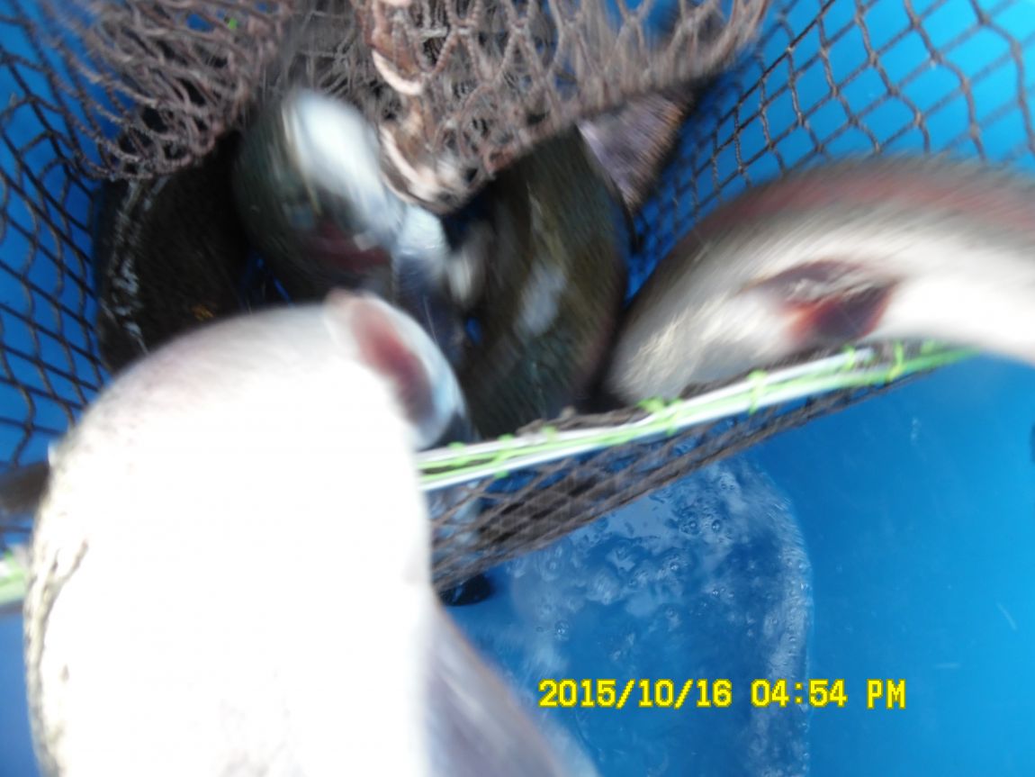 10��16��~17�� 012.JPG