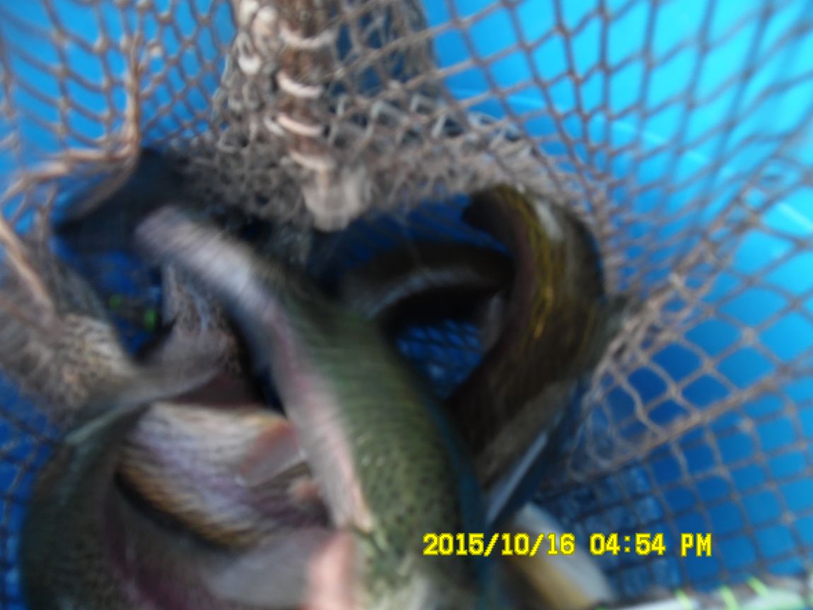 10��16��~17�� 013.JPG