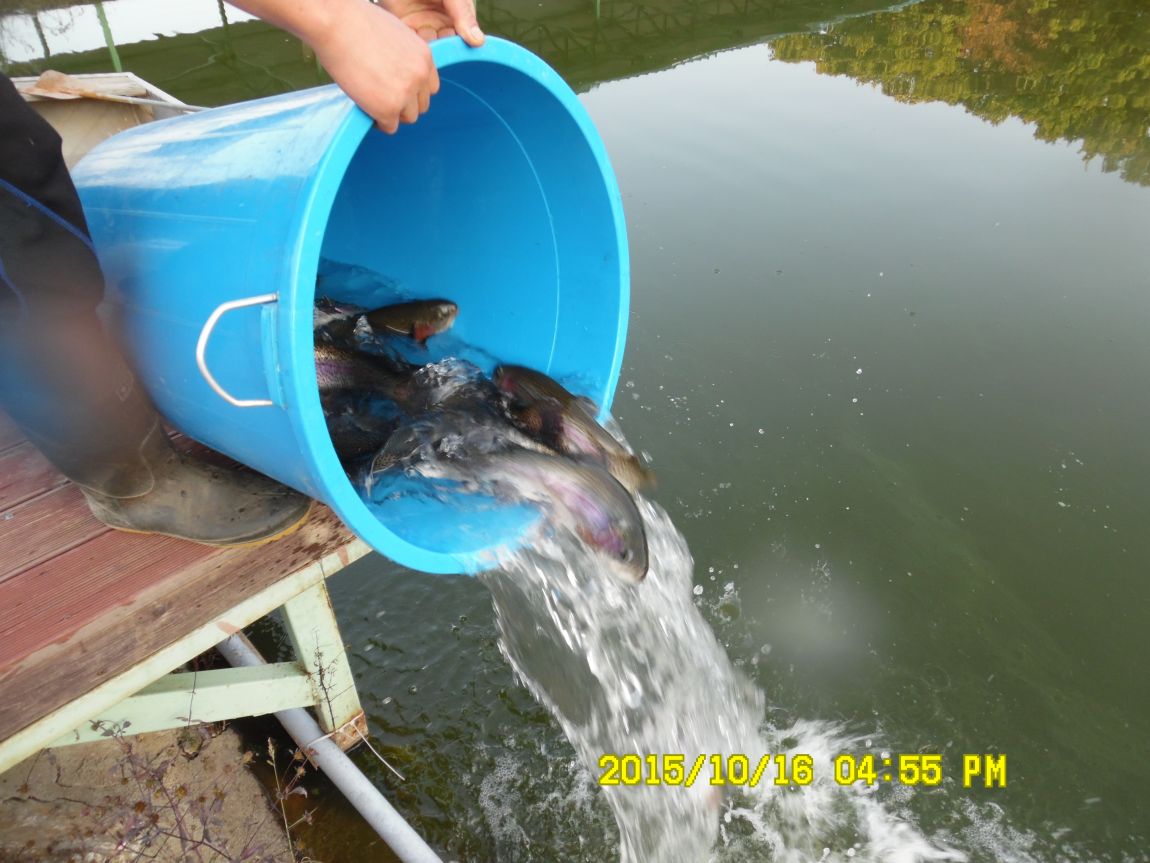 10��16��~17�� 014.JPG