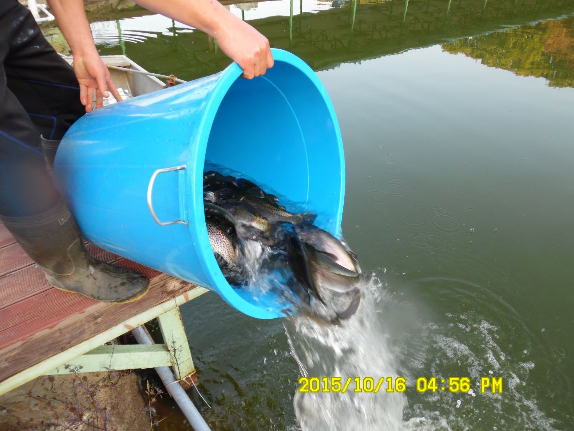 10��16��~17�� 015.JPG