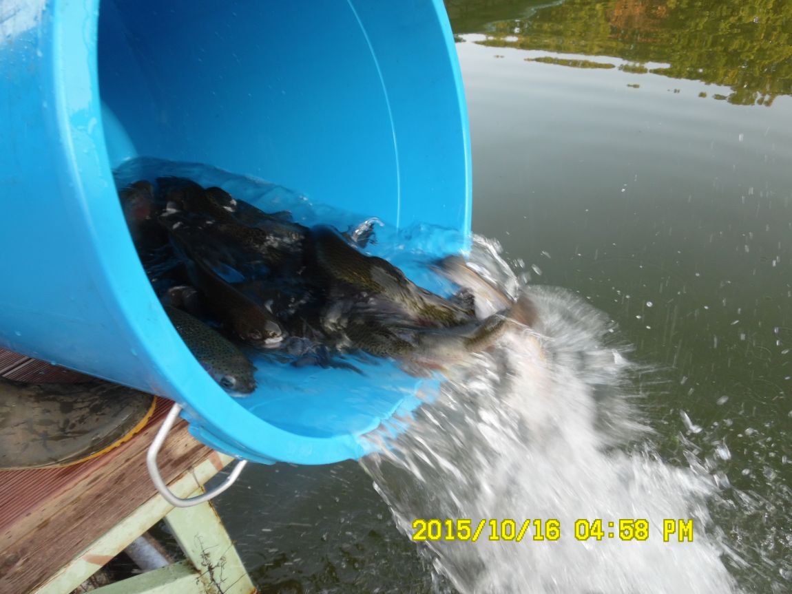 10��16��~17�� 016.JPG