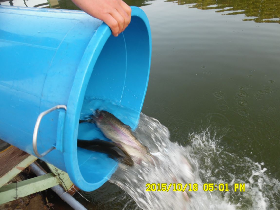 10��16��~17�� 018.JPG