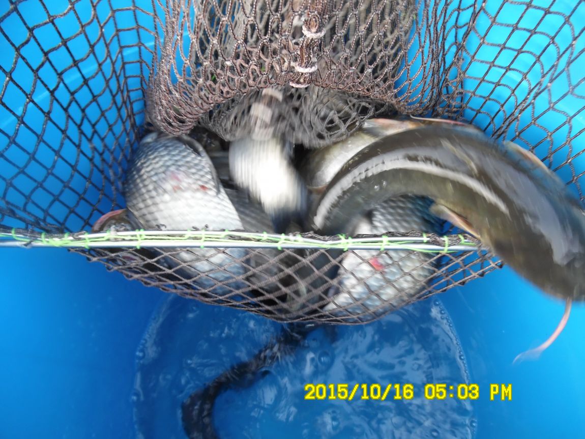 10��16��~17�� 019.JPG