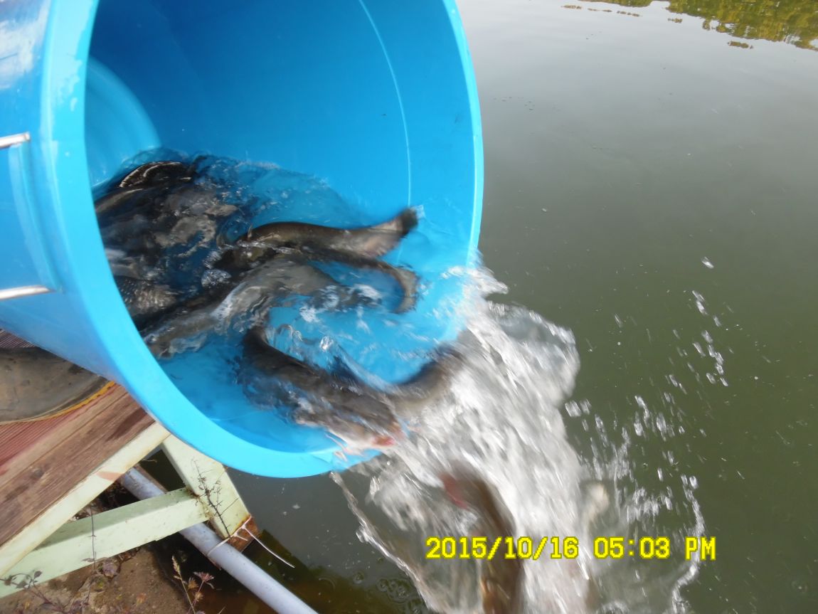 10��16��~17�� 020.JPG