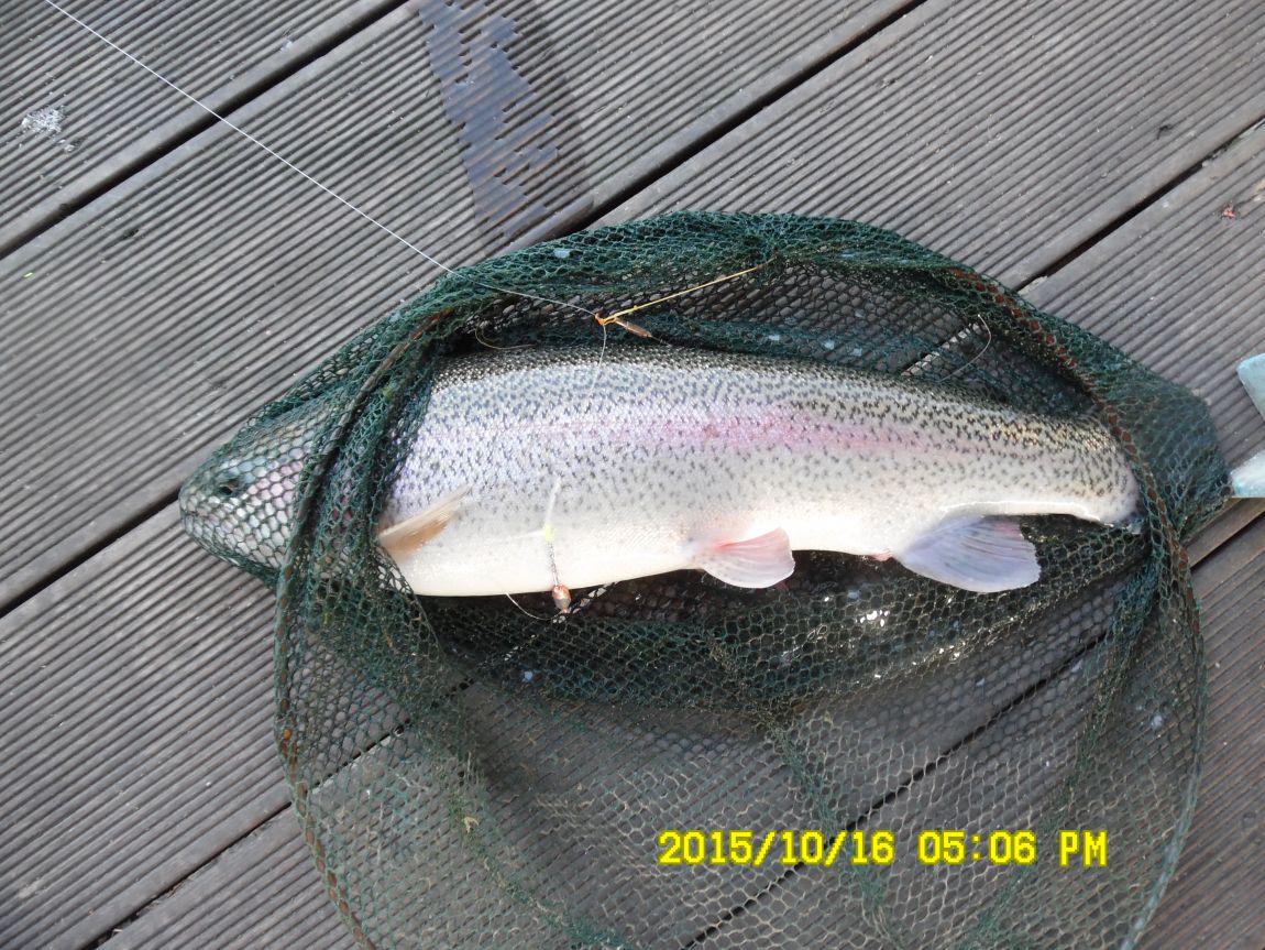 10��16��~17�� 022.JPG