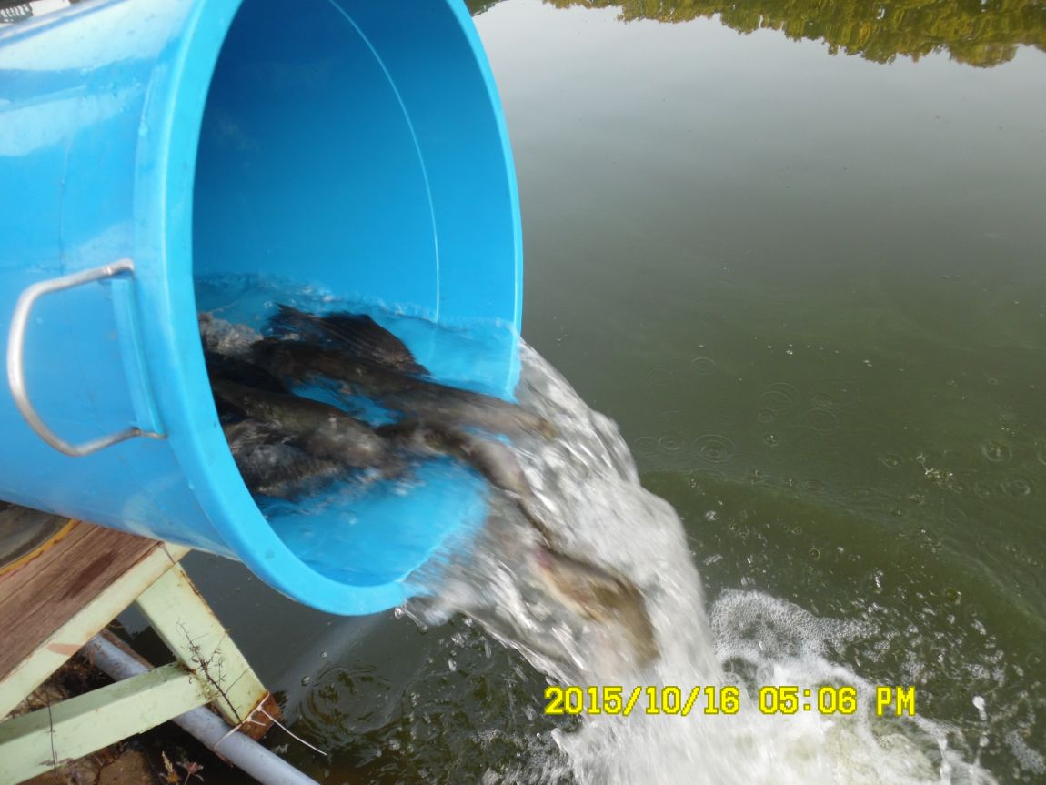 10��16��~17�� 023.JPG