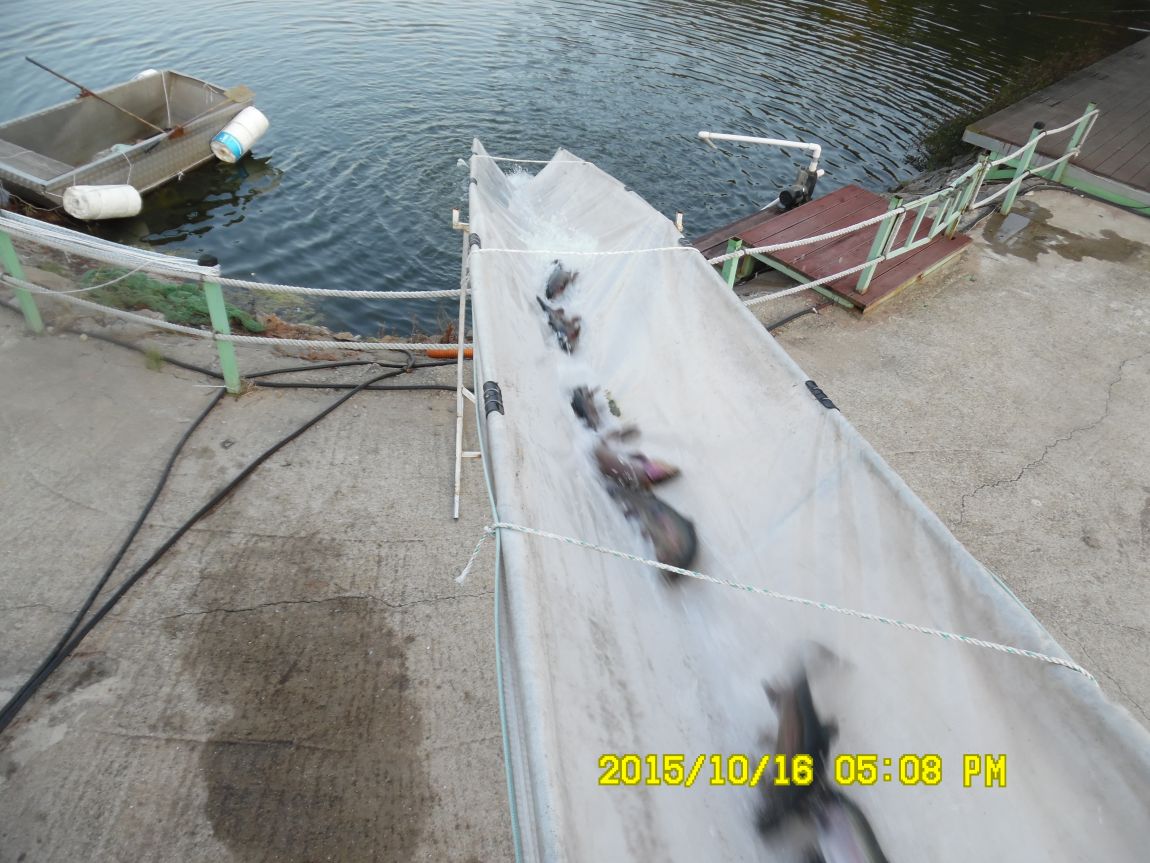 10��16��~17�� 024.JPG