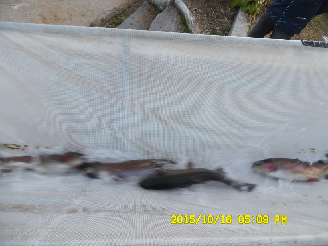 10��16��~17�� 025.JPG