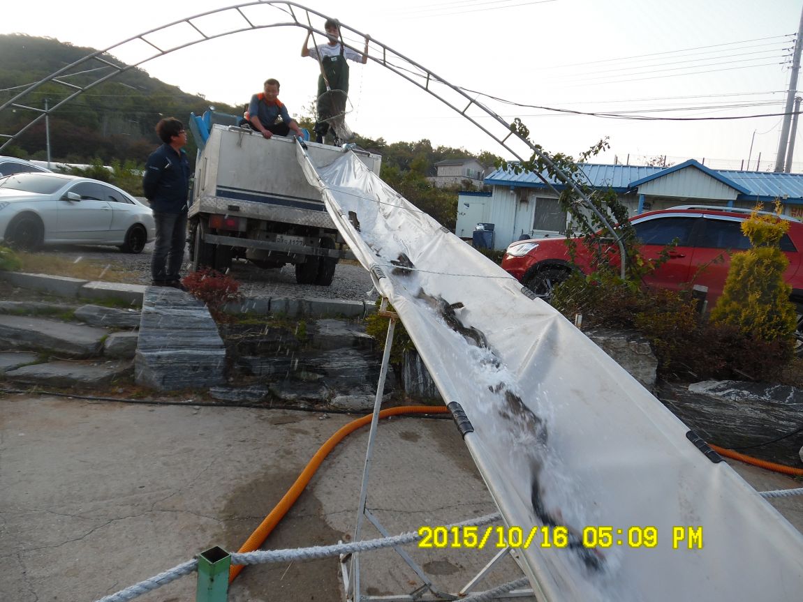 10��16��~17�� 026.JPG