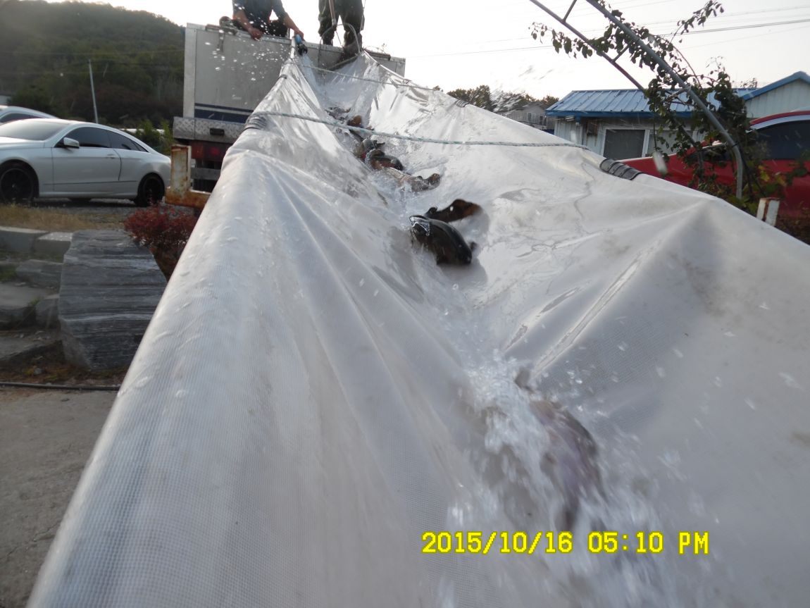 10��16��~17�� 027.JPG