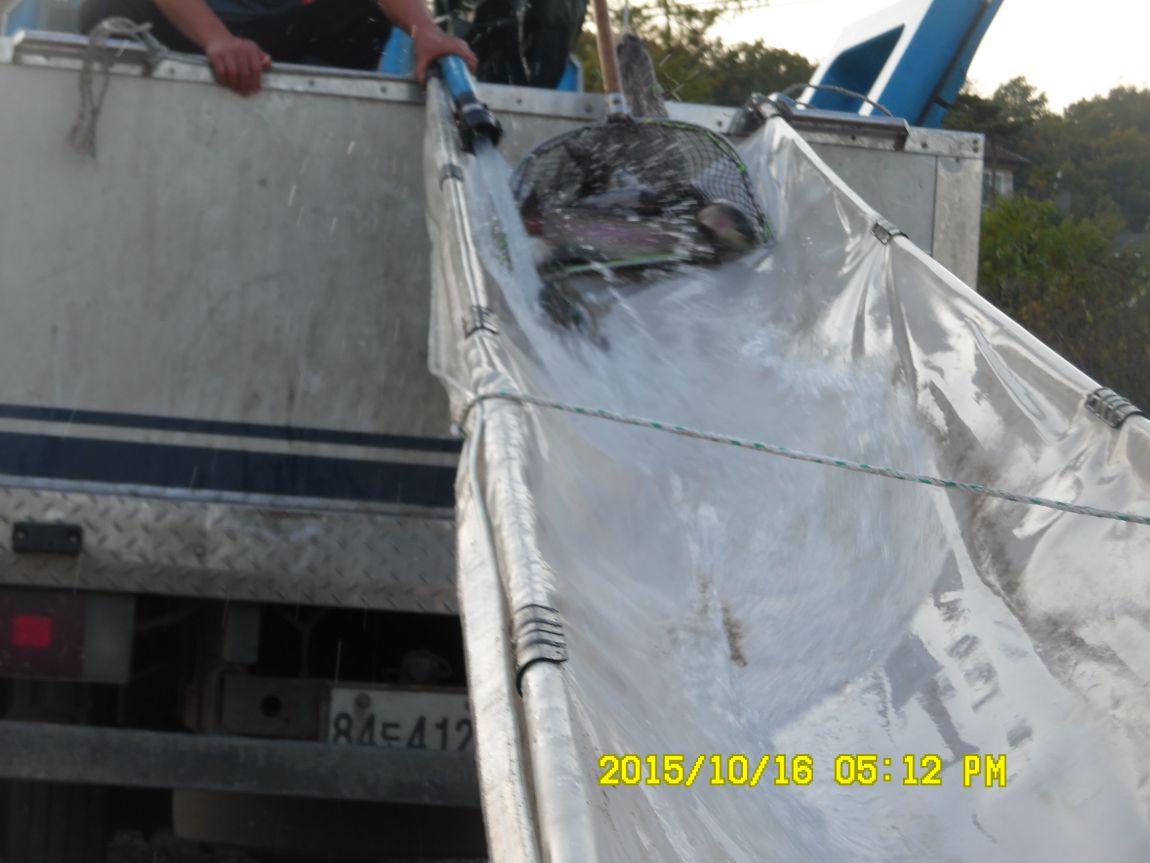 10��16��~17�� 028.JPG