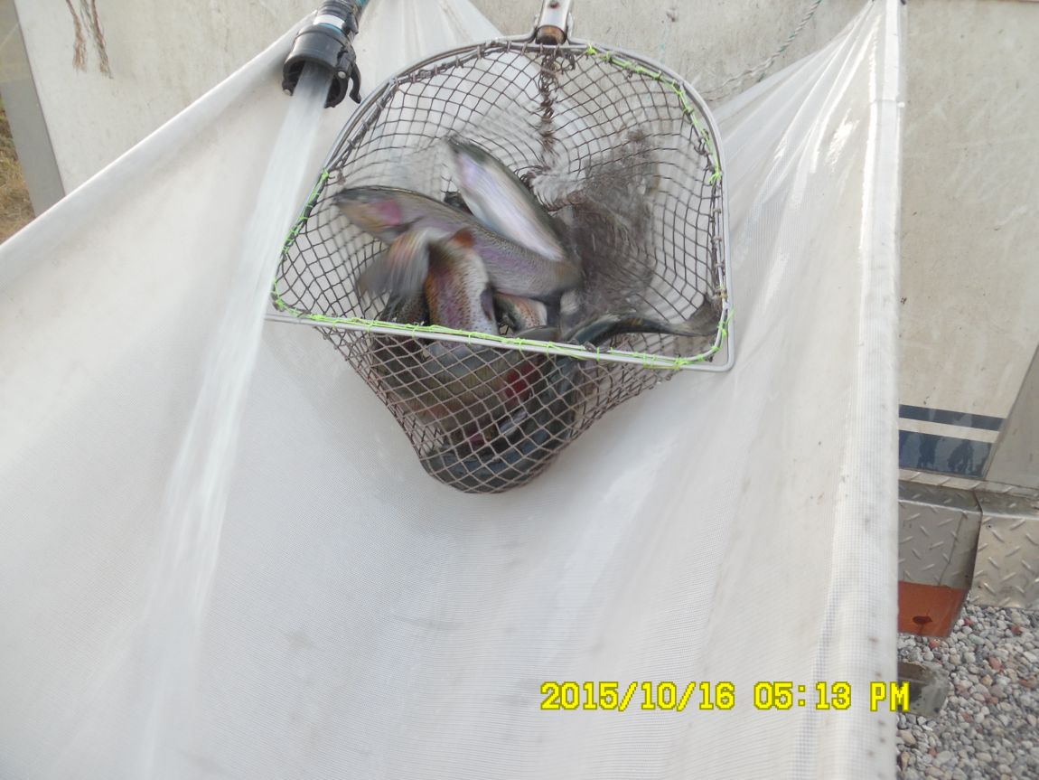 10��16��~17�� 029.JPG