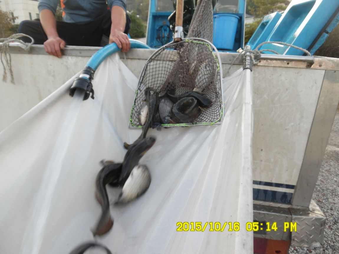 10��16��~17�� 030.JPG