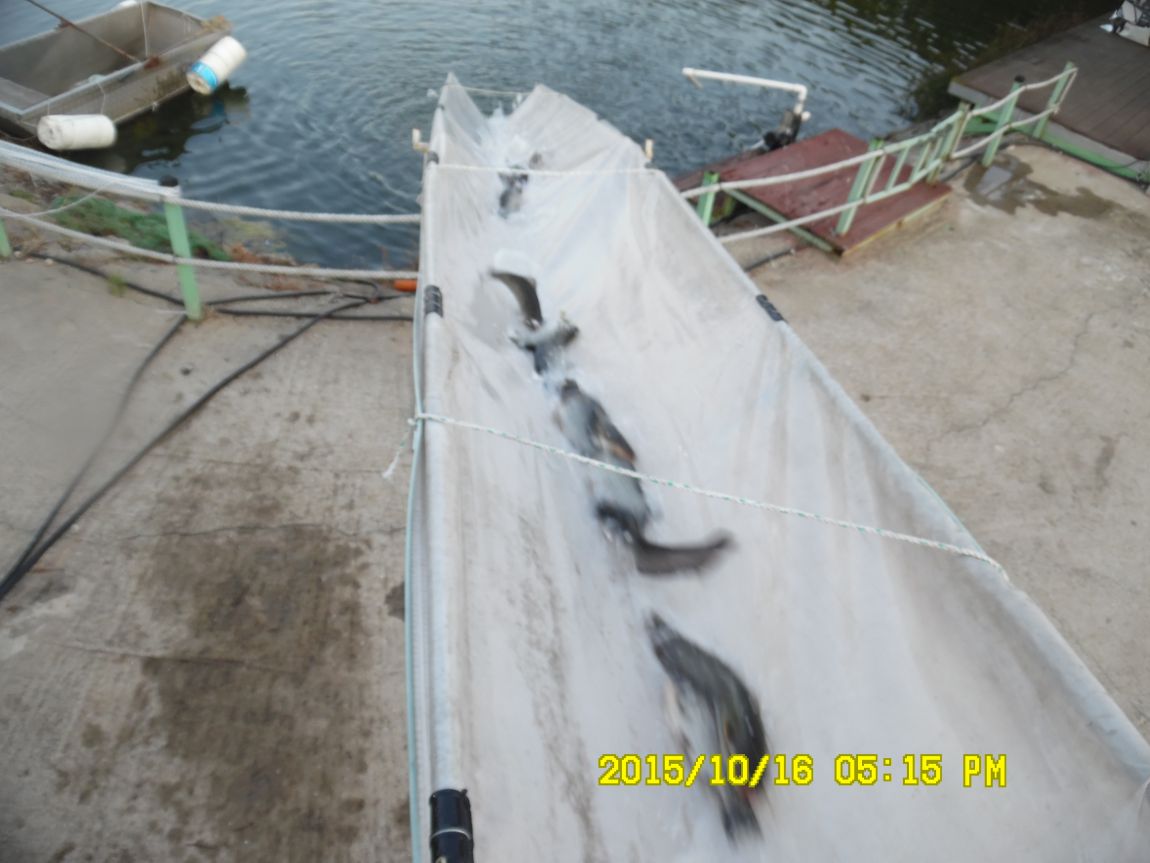 10��16��~17�� 031.JPG