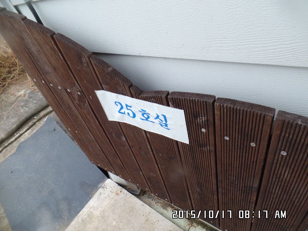 SAM_0111.JPG