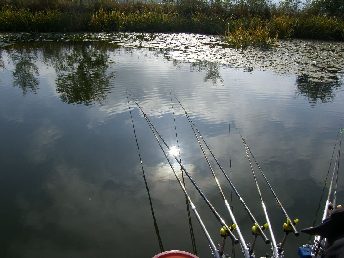 _H101005.JPG