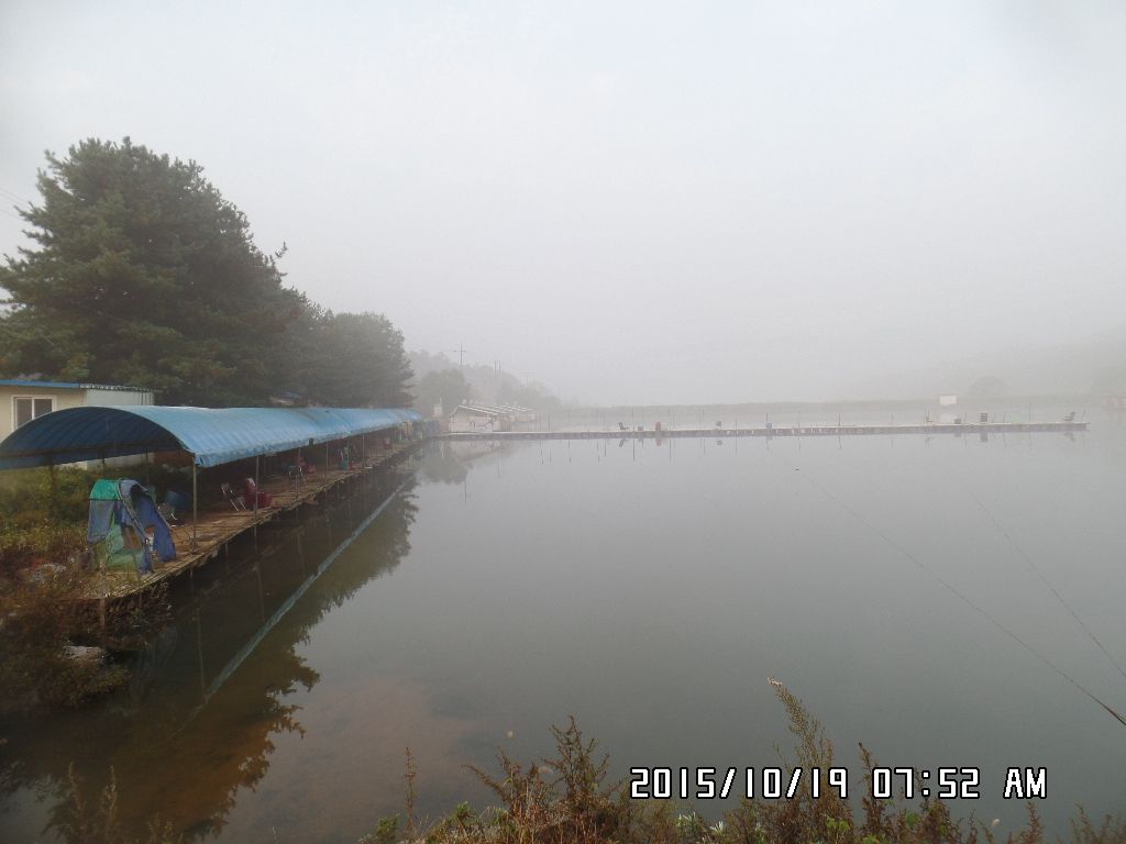 SAM_0157.JPG