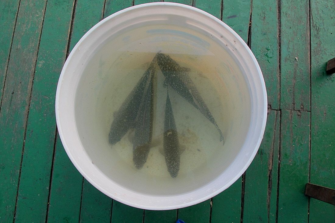 ²Ù¹Ì±â_15³â10¿ù8 412.jpg