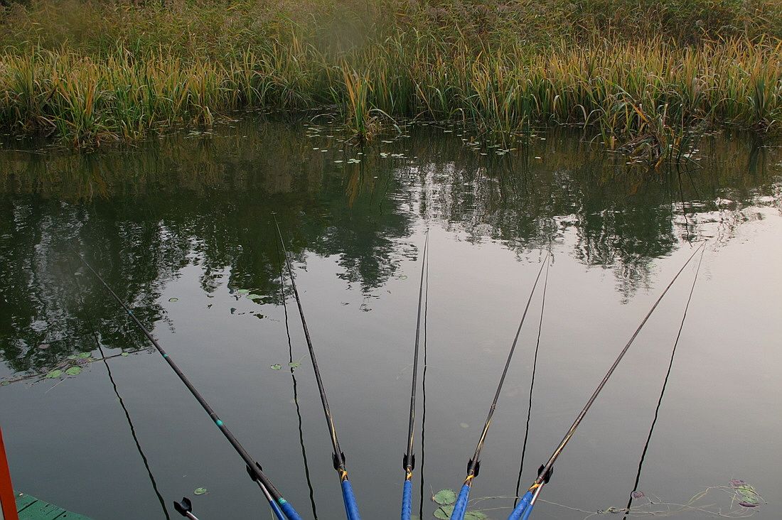 ²Ù¹Ì±â_15³â10¿ù8 415.jpg