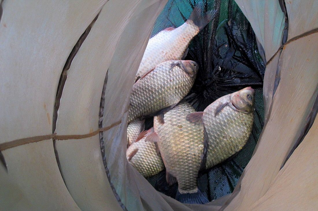 ²Ù¹Ì±â_15³â10¿ù8 416.jpg