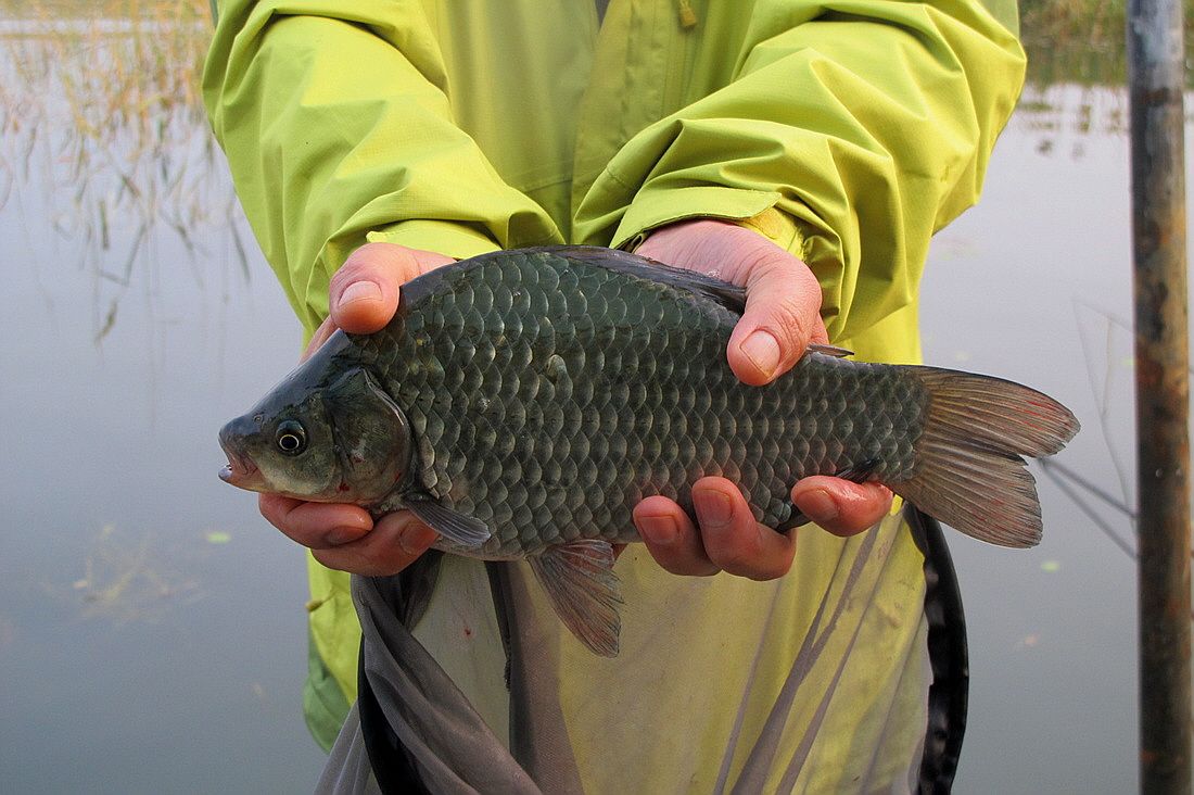 ²Ù¹Ì±â_15³â10¿ù8 417.jpg