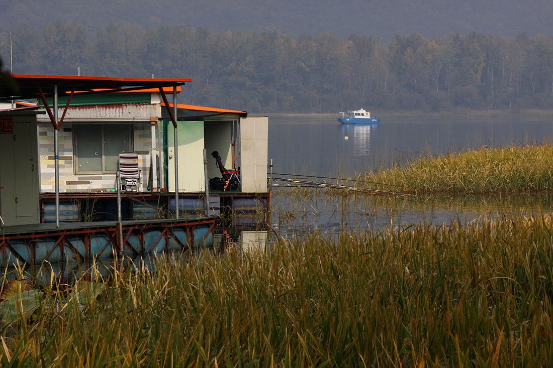 ²Ù¹Ì±â_15³â10¿ù8 423.jpg