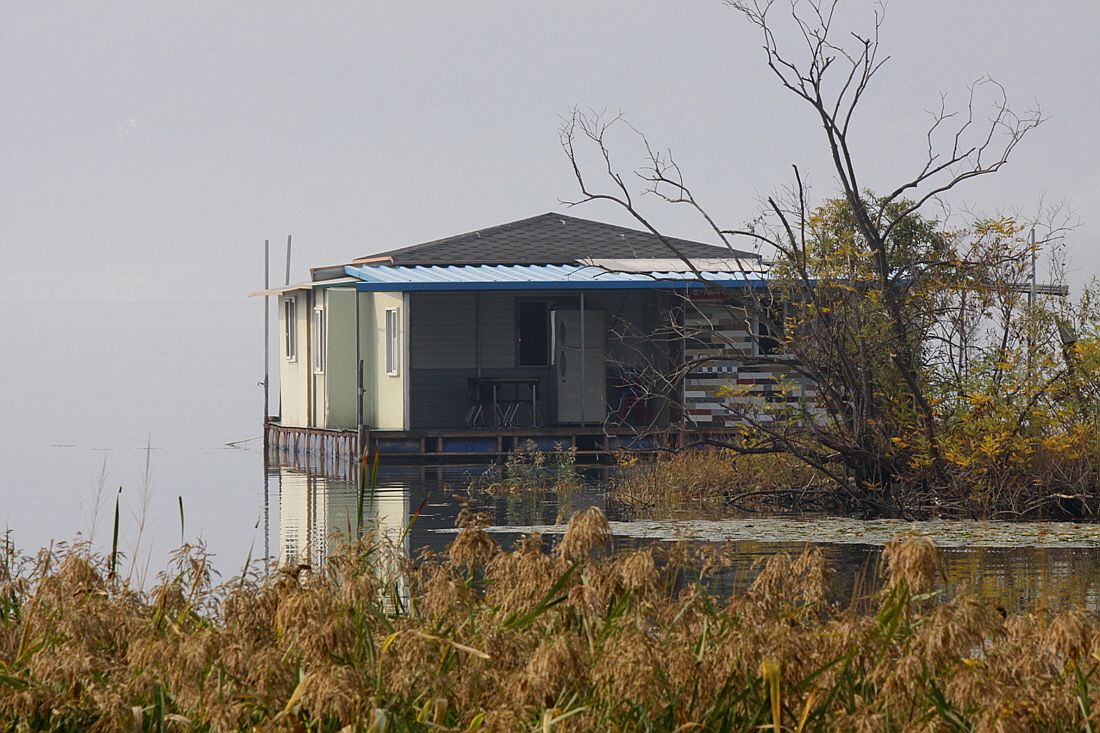 ²Ù¹Ì±â_15³â10¿ù8 428.jpg