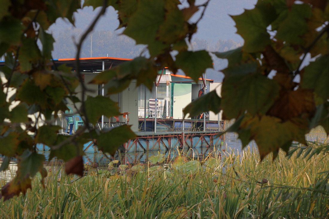 ²Ù¹Ì±â_15³â10¿ù8 431.jpg