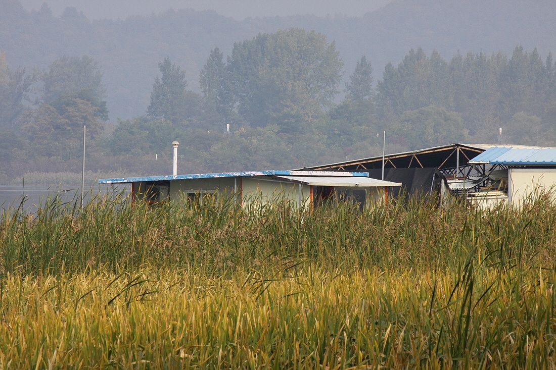 ²Ù¹Ì±â_15³â10¿ù8 433.jpg