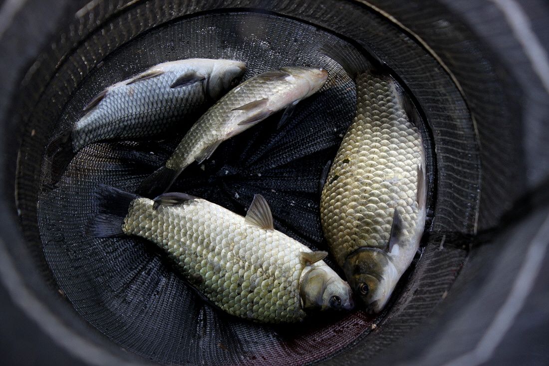 ²Ù¹Ì±â_15³â10¿ù8 435.jpg