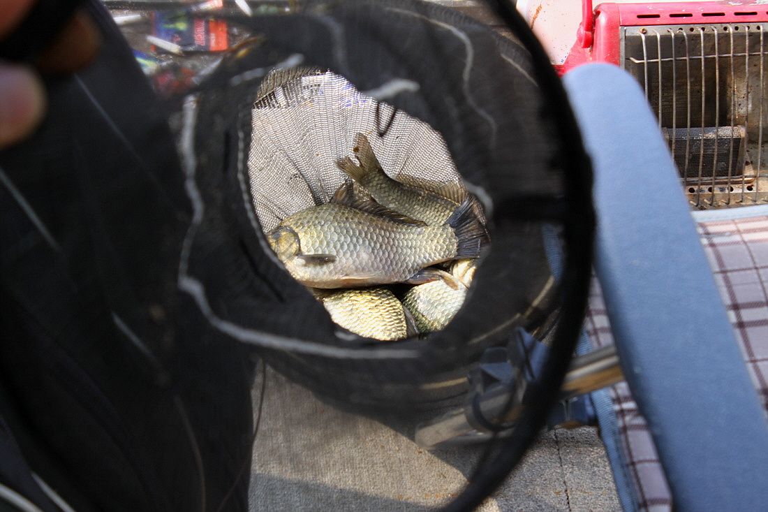 ²Ù¹Ì±â_15³â10¿ù8 442.jpg