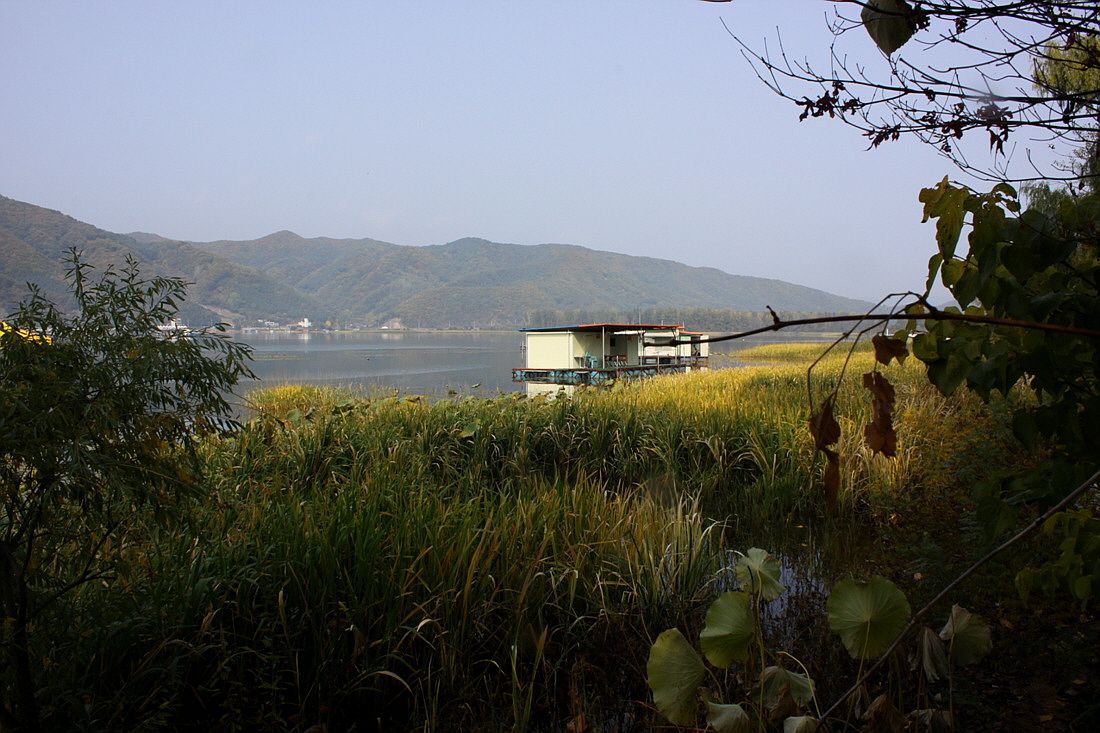 ²Ù¹Ì±â_15³â10¿ù8 448.jpg