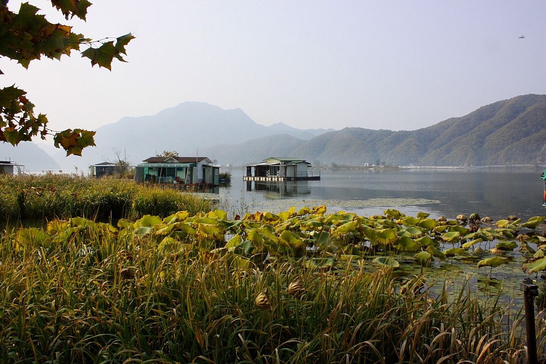 ²Ù¹Ì±â_15³â10¿ù8 451.jpg