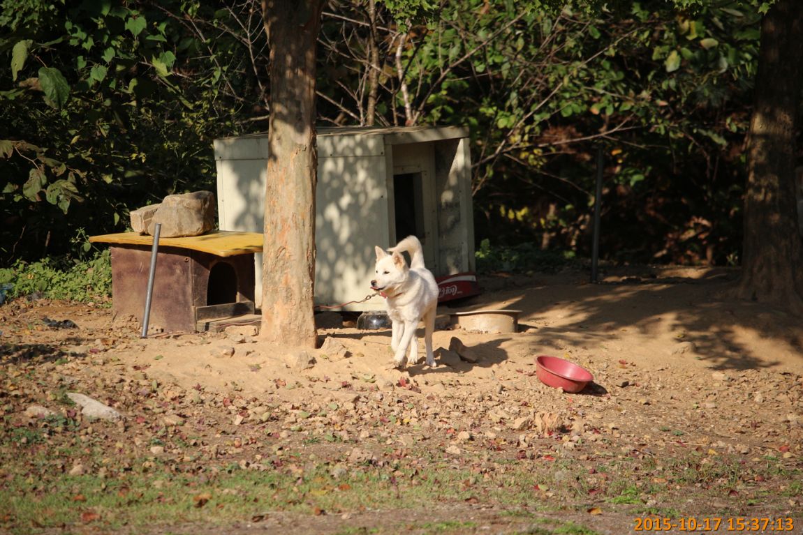 IMG_0134.jpg