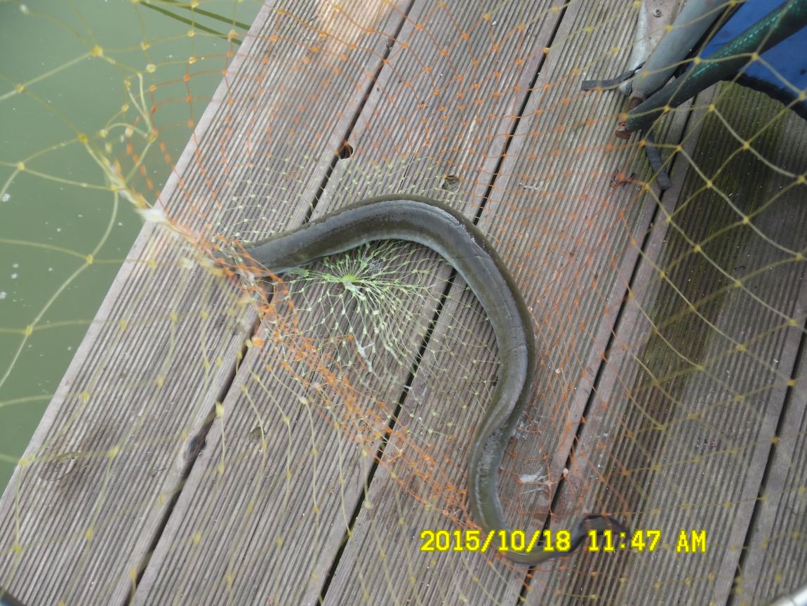 10¿ù17ÀÏ~19ÀÏ 001.JPG