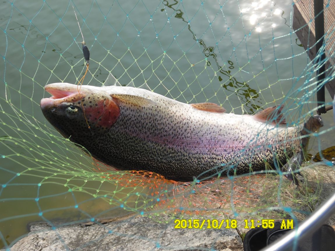 10¿ù17ÀÏ~19ÀÏ 005.JPG