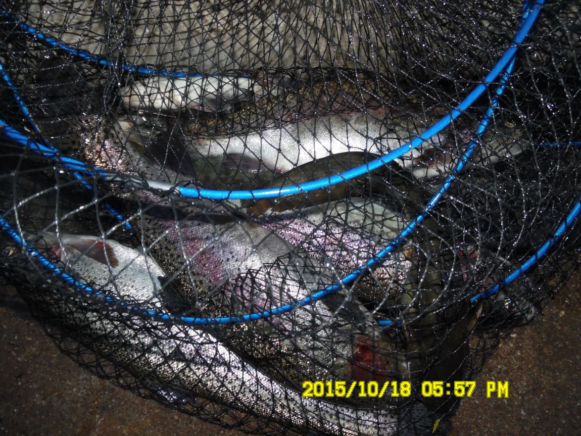 10¿ù17ÀÏ~19ÀÏ 011.JPG