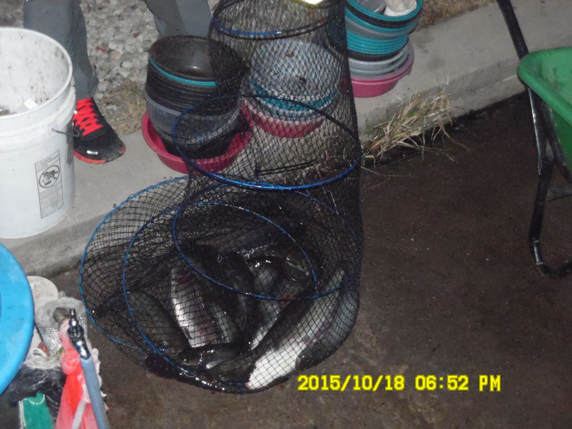 10¿ù17ÀÏ~19ÀÏ 012.JPG