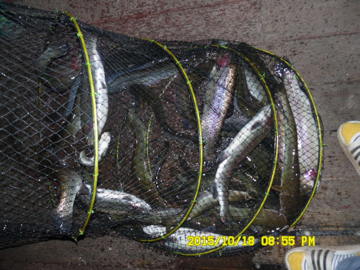 10¿ù17ÀÏ~19ÀÏ 014.JPG